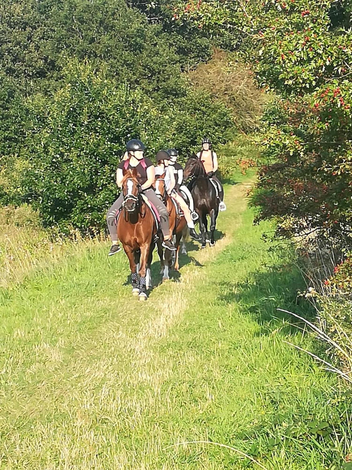 Ferienwohnung Reitanlage Baerenz Selk Buitenkant foto