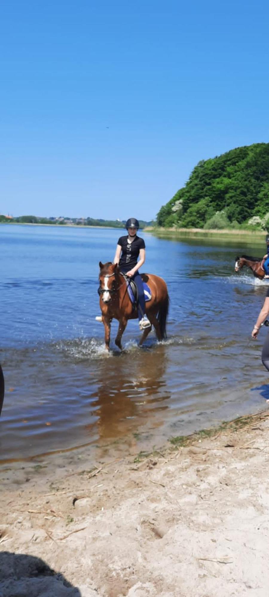 Ferienwohnung Reitanlage Baerenz Selk Buitenkant foto