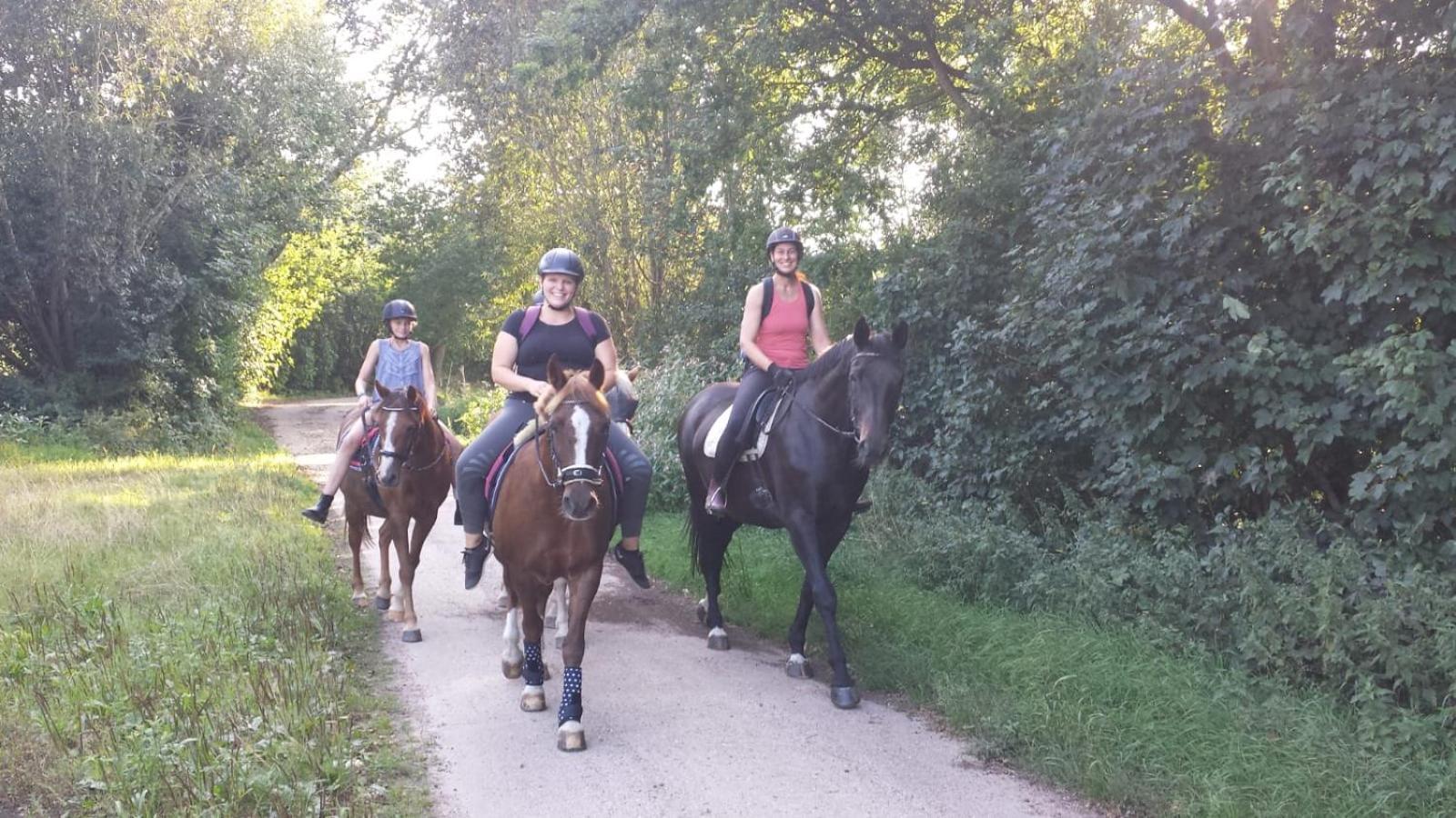 Ferienwohnung Reitanlage Baerenz Selk Buitenkant foto